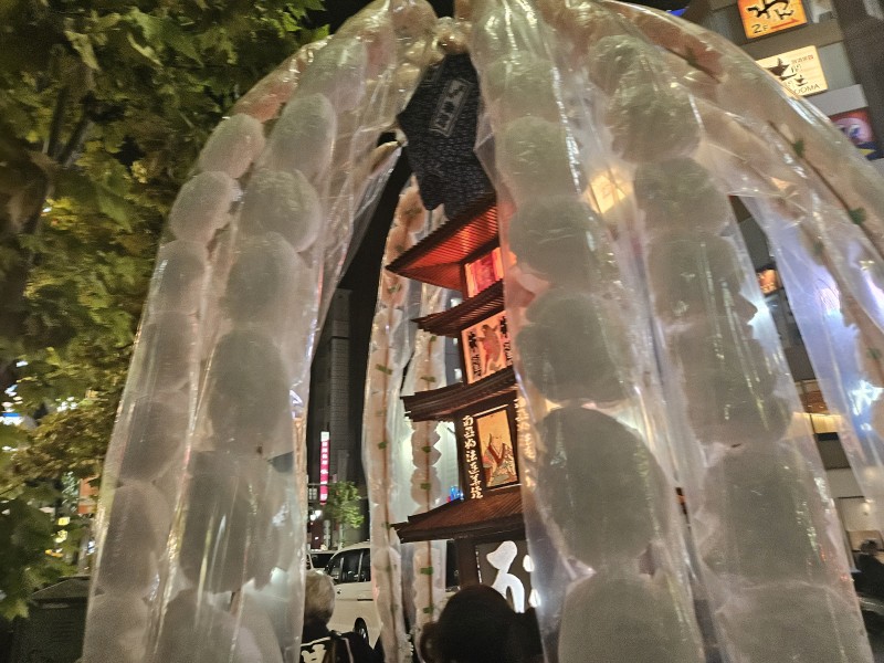 20241006_175946.jpg