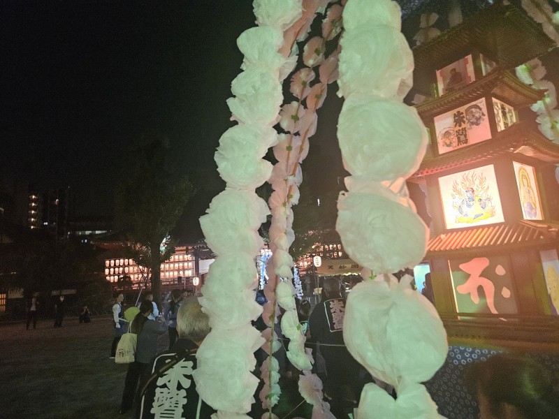20241016_201519.jpg